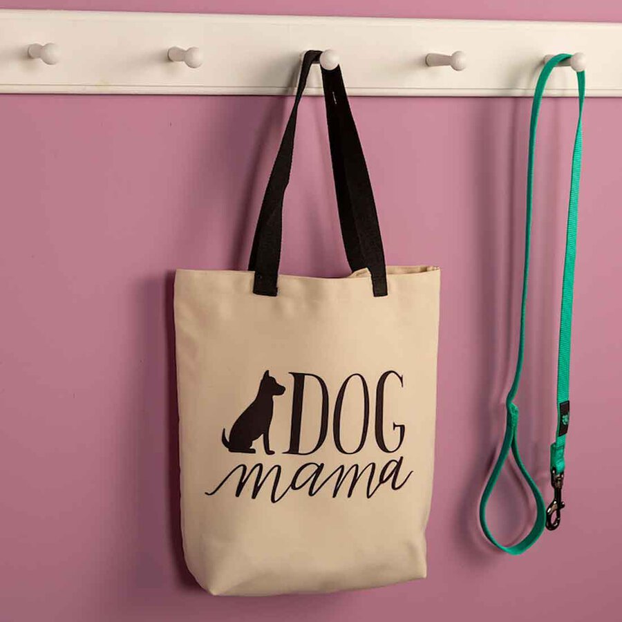 Tote Bag Blank